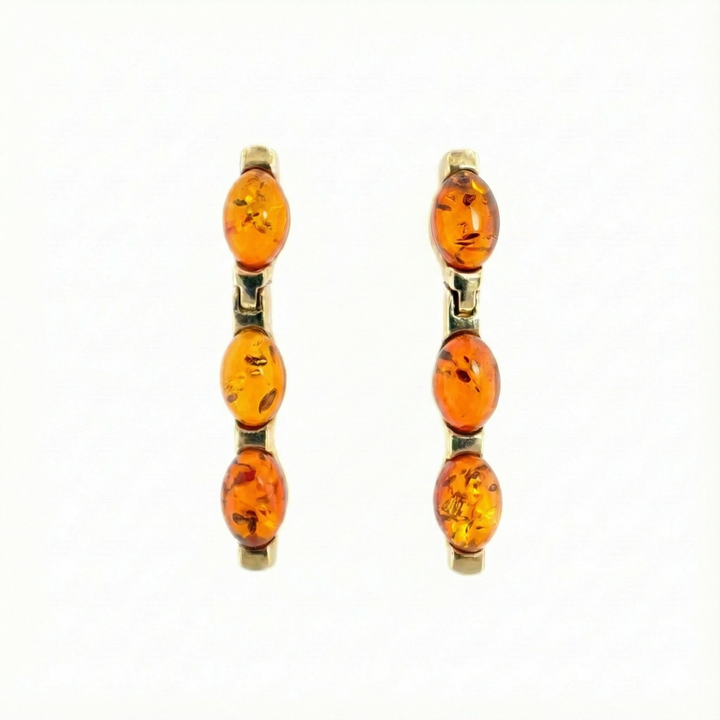 9ct Yellow Gold Amber Earrings